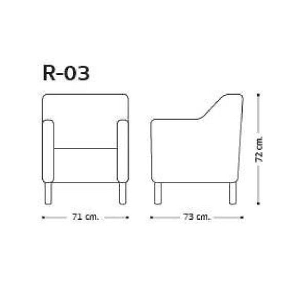 R-03 1